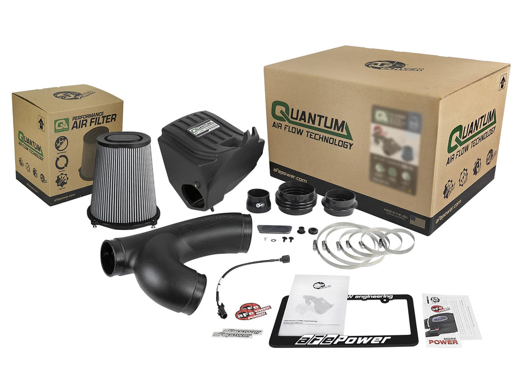 AFE Filters 53-10008D QUANTUM Pro DRY S Air Intake System