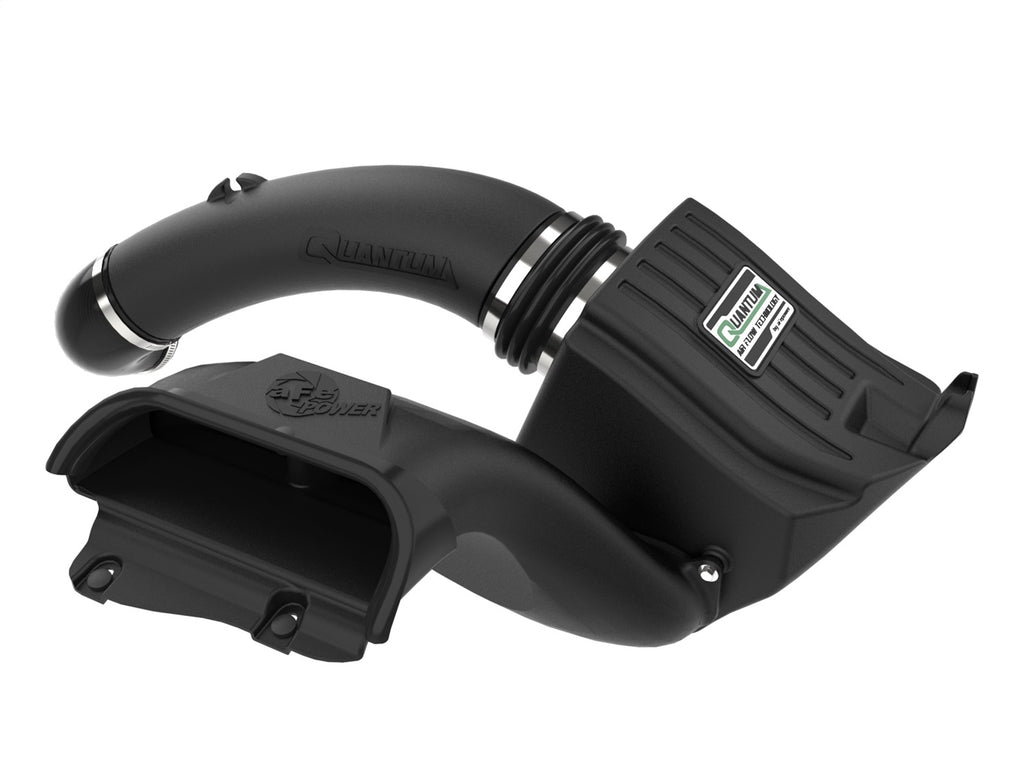 AFE Filters 53-10034D QUANTUM Pro DRY S Air Intake System Fits 15-20 F-150
