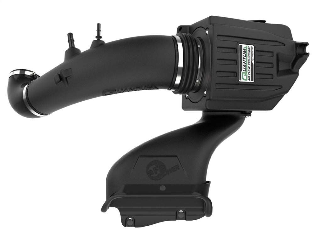 AFE Filters 53-10034D QUANTUM Pro DRY S Air Intake System Fits 15-20 F-150