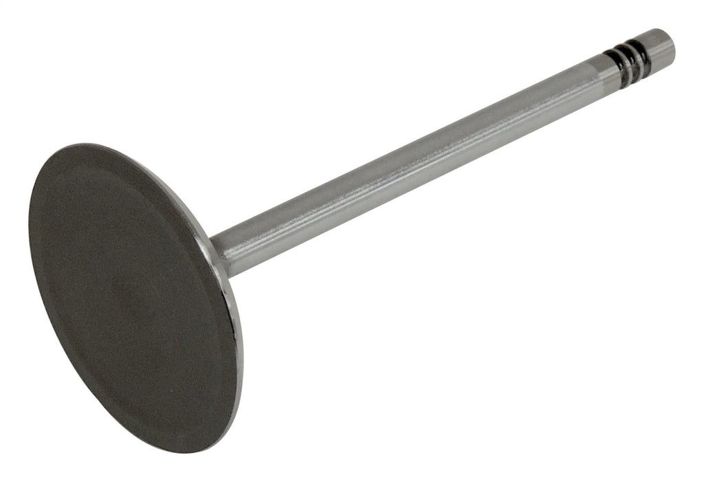 Crown Automotive 53021990AA Intake Valve