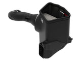 AFE Filters 54-13036D Magnum FORCE Stage-2 Pro DRY S Air Intake System