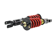 Load image into Gallery viewer, Skunk2 Racing 541-05-8720 Pro-ST Coilover Shock Absorber Set Fits Civic Integra
