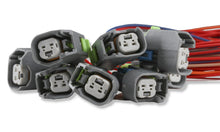 Load image into Gallery viewer, Holley EFI 558-216 Unterminated Fuel Injector Harness Kit
