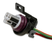 Load image into Gallery viewer, Holley EFI 558-470 Automatic Transmission Wire Harness