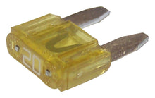 Load image into Gallery viewer, Crown Automotive 6101488 Mini Fuse