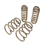 Hurst 6130020 Spring Kit Fits 11-14 Mustang