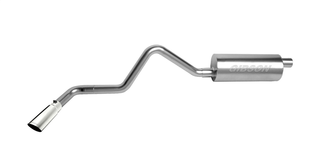 Gibson Performance 616591 Cat-Back Single Exhaust System Fits 04-05 Ram 1500