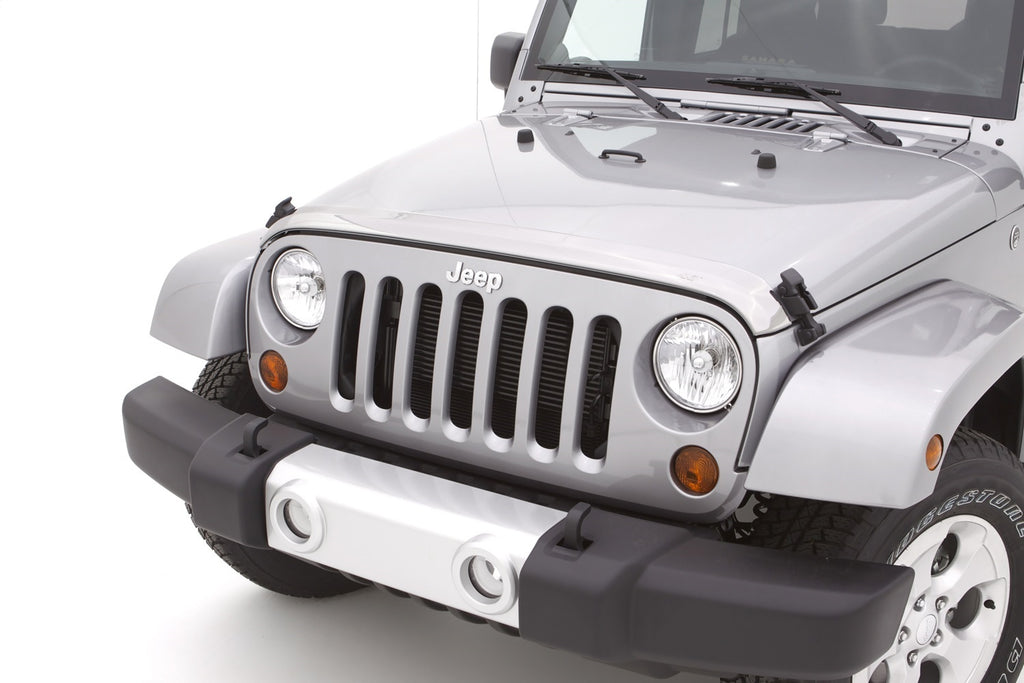 Auto Ventshade 622156 Aeroskin Chrome Hood Protector