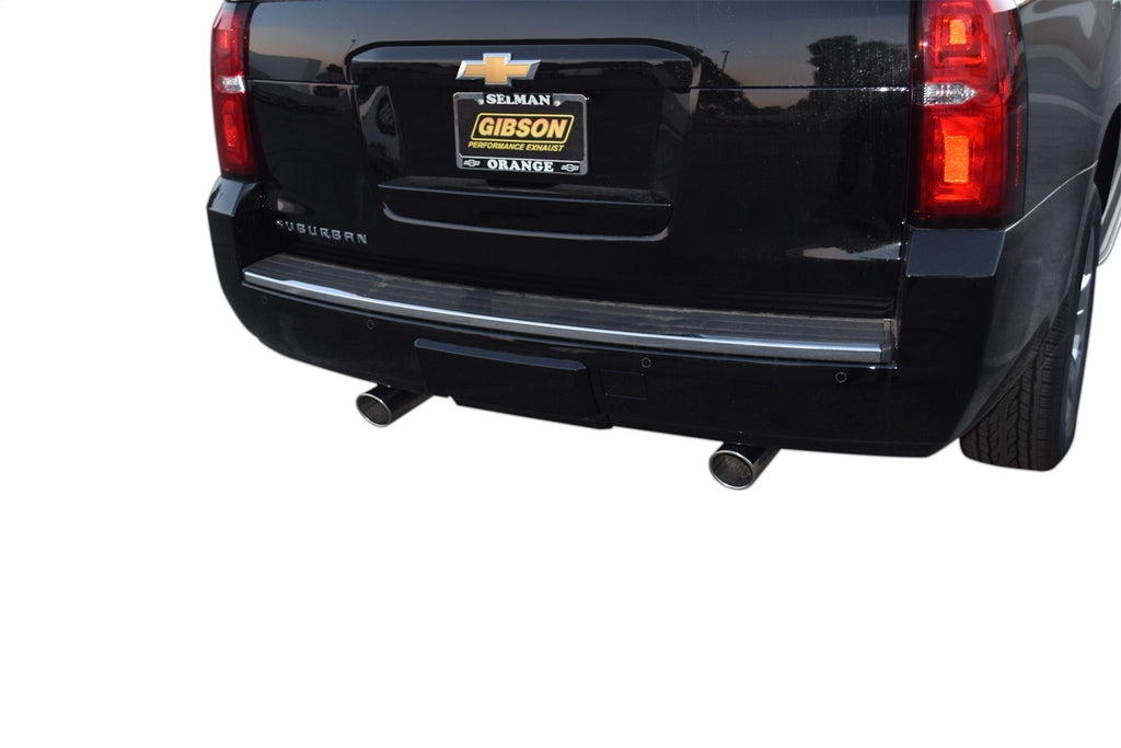 Gibson Performance 65686 Cat-Back Dual Split Exhaust System