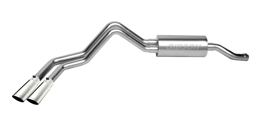 Gibson Performance 66523 Cat-Back Dual Sport Exhaust System Fits 04-05 Ram 1500