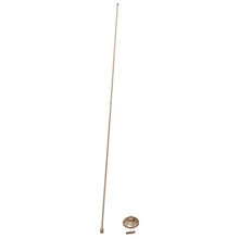 Load image into Gallery viewer, Rugged Ridge 11131.01 Antenna Fits 97-06 Wrangler (TJ)