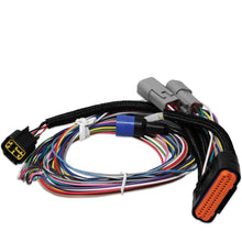 Load image into Gallery viewer, MSD Ignition 7780 Power Grid Ignition System Replacement Wire Harness