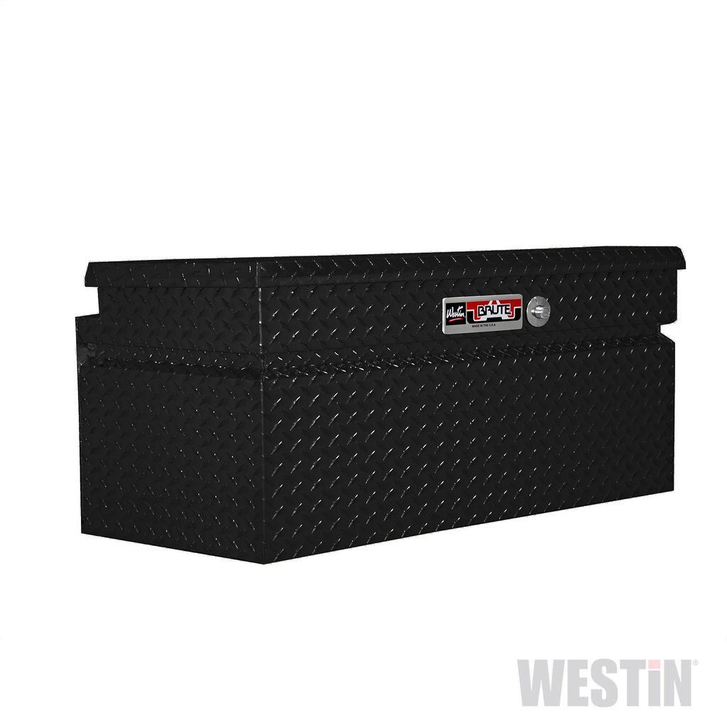 Westin 80-RB4919-B Brute Trailer Tongue Tool Box