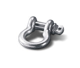 Warn 88998 D-Shackle