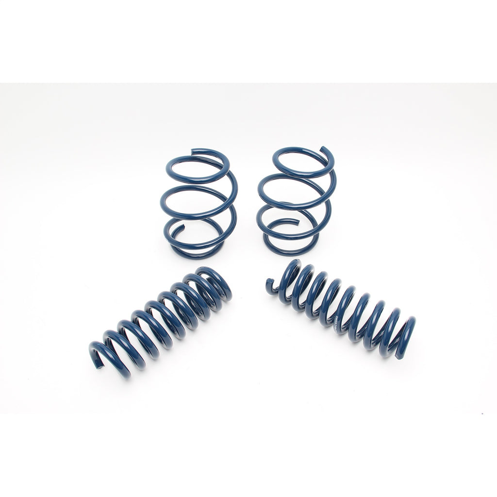 Dinan D100-0928 Performance Coil Spring Set