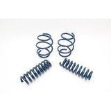 Dinan D100-0928 Performance Coil Spring Set