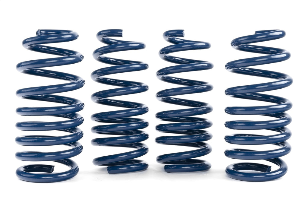 Dinan D100-0936 Performance Coil Spring Set Fits 20-23 X5 X6