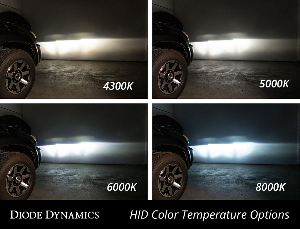 Diode Dynamics DD1050P Bulbs