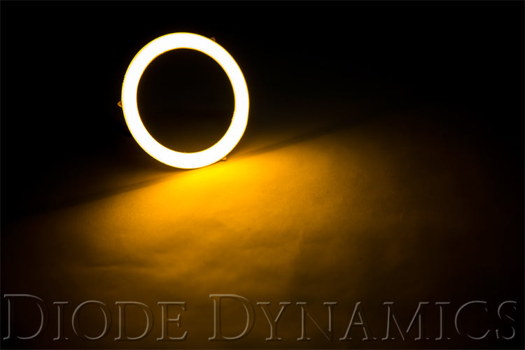 Diode Dynamics DD2024S Amber Halo Ring Bulb