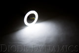 Diode Dynamics DD2058S Switchback Halo Ring Bulb