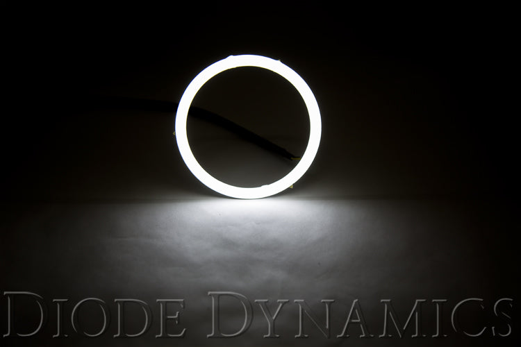 Diode Dynamics DD2064 Switchback Halo Ring Bulb