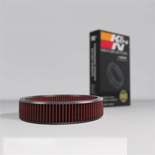 Load image into Gallery viewer, K&amp;N Filters E-1650 Air Filter