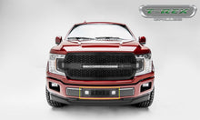 Load image into Gallery viewer, ZROADZ Z425711 ZROADZ Bumper Grille Fits 18-20 F-150