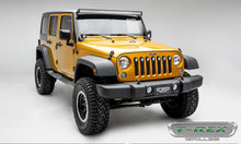 Load image into Gallery viewer, T-Rex Grilles 6314841-BR Stealth Torch Series LED Light Grille