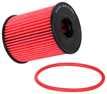 Load image into Gallery viewer, K&amp;N Filters HP-7041 Oil Filter Fits 124 Spider 500 500L 500X Dart Mito Renegade