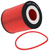 Load image into Gallery viewer, K&amp;N Filters HP-7043 Oil Filter Fits 16-21 F-150 Range Rover Range Rover Sport