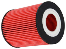 Load image into Gallery viewer, K&amp;N Filters HP-7043 Oil Filter Fits 16-21 F-150 Range Rover Range Rover Sport