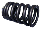 Crown Automotive J3213609 Valve Spring