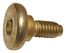 Load image into Gallery viewer, Crown Automotive J3223416 Brake Caliper Screw Fits 76-81 CJ5 CJ7 Scrambler