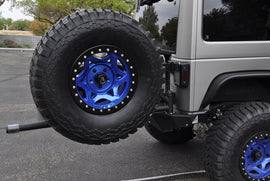 Addictive Desert Designs T95912NA01NA Stealth Fighter Tire Carrier