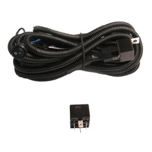 Load image into Gallery viewer, CSI W4800 Wiring Harness