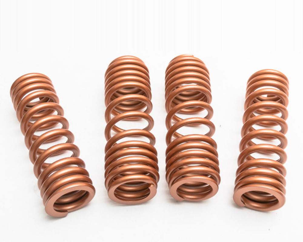 Lowering Springs Fits McLaren 570S Agency Power