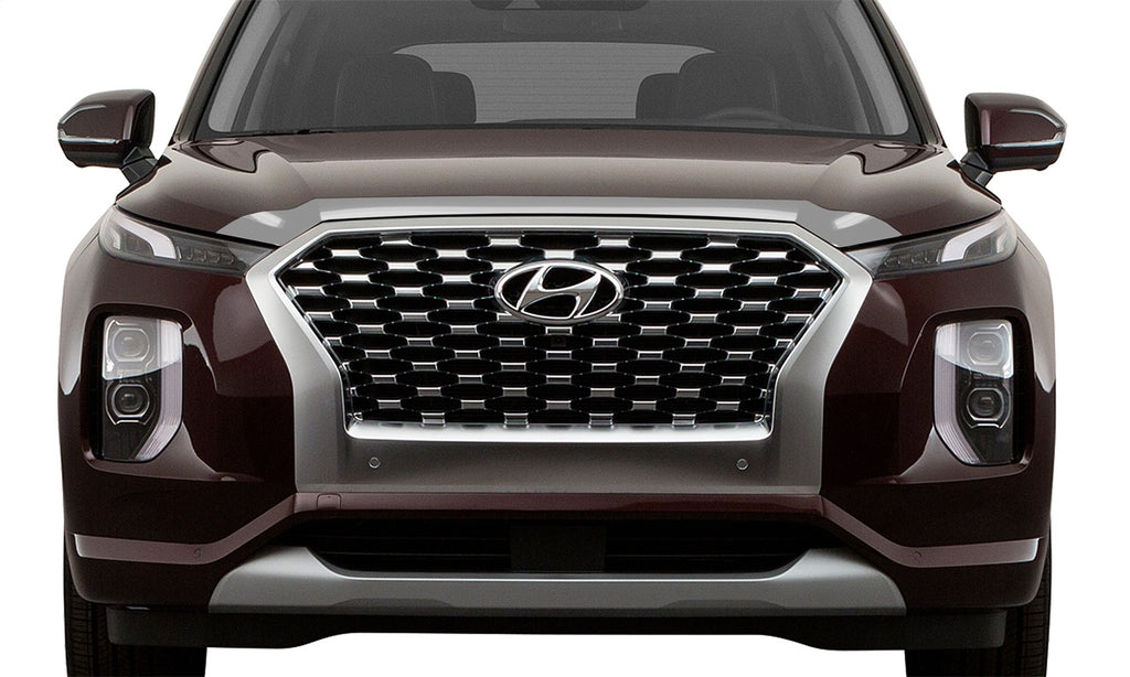 Auto Ventshade 622159 Aeroskin Chrome Hood Protector Fits 20-25 Palisade