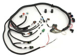 ACCEL 77683 Thruster Main Wire Harness