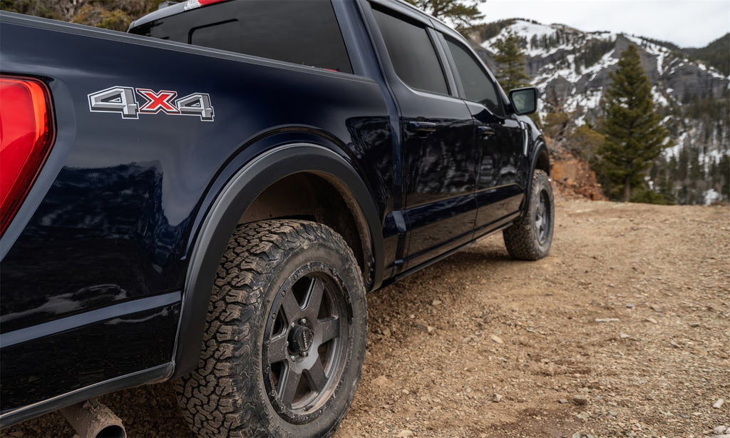 Bushwacker 20096-02 OE Style Fender Flares Fits 15-20 F-150