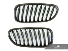 Load image into Gallery viewer, AutoTecknic BM-0218 Carbon Fiber Grille For 2003-2008 BMW Z4