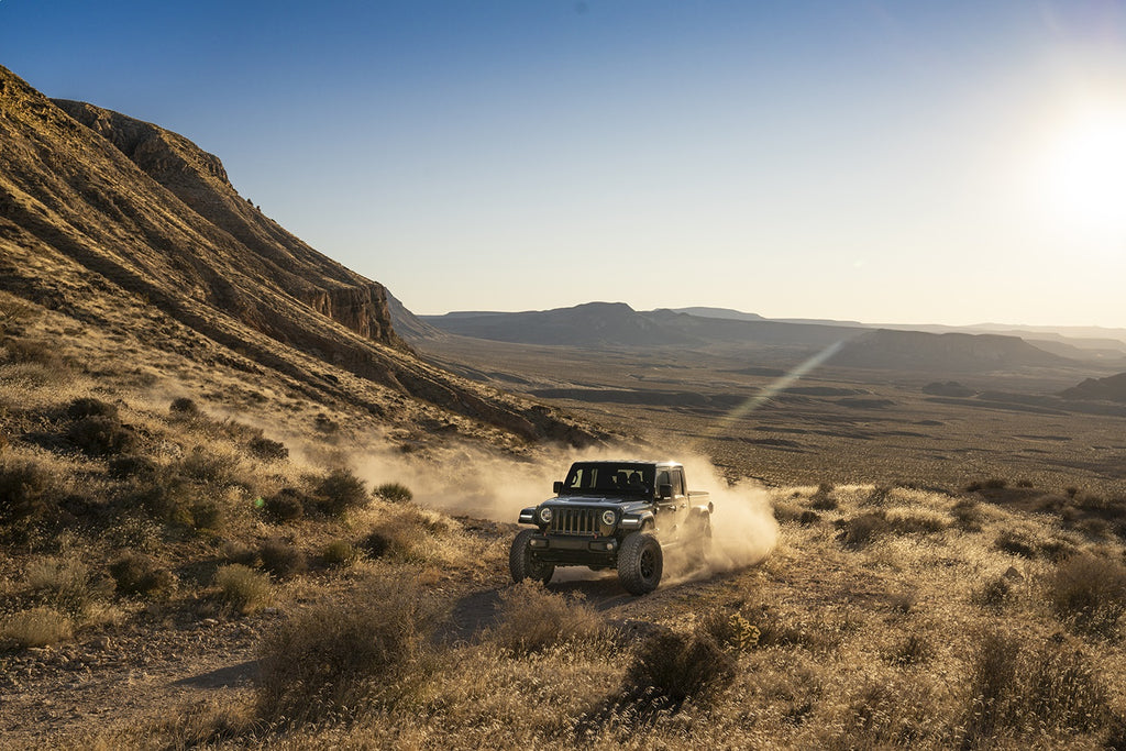 FOX Offroad Shocks 985-24-230 Shock Absorber