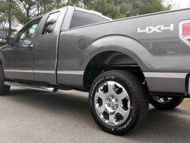 QAA MI49310 Polished Side Insert Trim 10Pc Fits 09-14 F-150