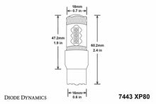 Load image into Gallery viewer, Diode Dynamics DD0114P XP80 Amber Bulbs