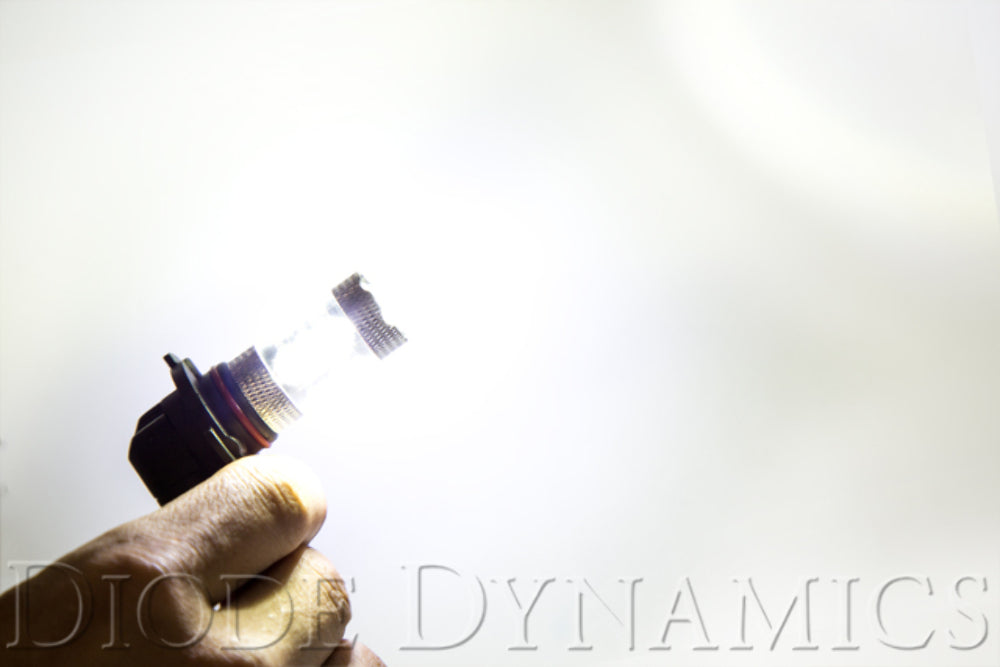 Diode Dynamics DD0134P XP80 Cool White Bulbs