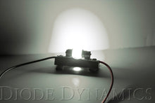 Load image into Gallery viewer, Diode Dynamics DD0294P HP6 Red Bulbs