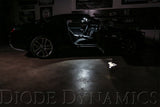 Diode Dynamics DD0355 Cool White Bulb