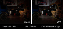 Load image into Gallery viewer, Diode Dynamics DD0378P Bulbs