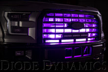 Load image into Gallery viewer, Diode Dynamics DD0441 LED Strip Light