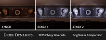Load image into Gallery viewer, Diode Dynamics DD0548 Bulb
