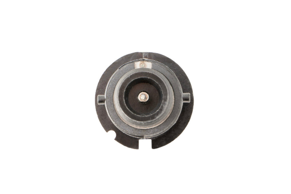 Diode Dynamics DD1042P Bulbs